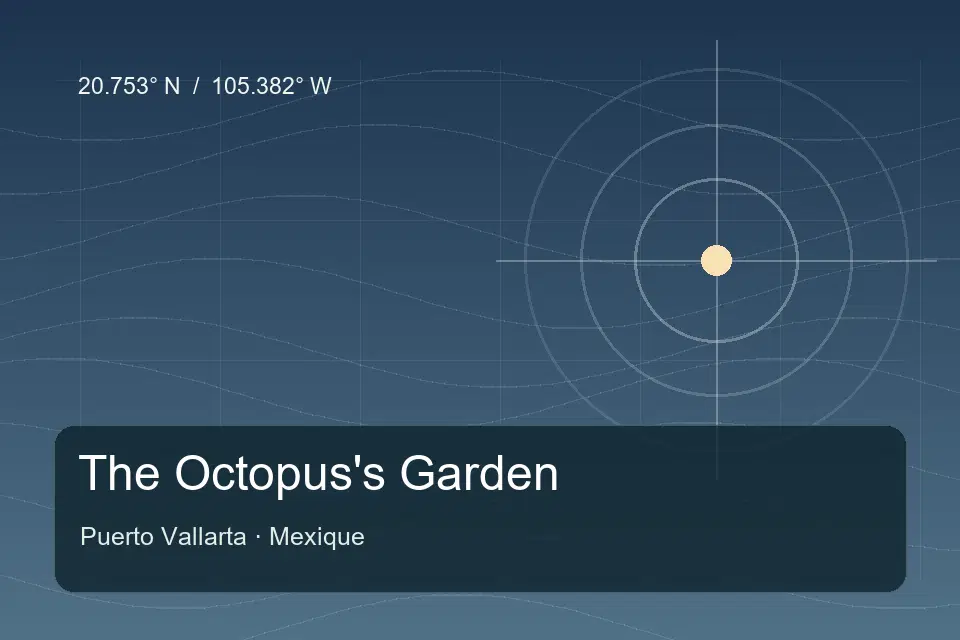 Illustrated geographic marker for The Octopus's Garden in Puerto Vallarta